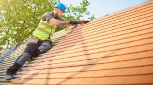 Best Roof Moss and Algae Removal  in Warsaw, VA